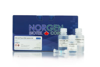53100 Cells and Tissue DNA Isolation Kit ( 50 rxn )